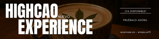 HIGHCAO: Cuando el cacao y el cannabis se encuentran en una bebida con respaldo científico