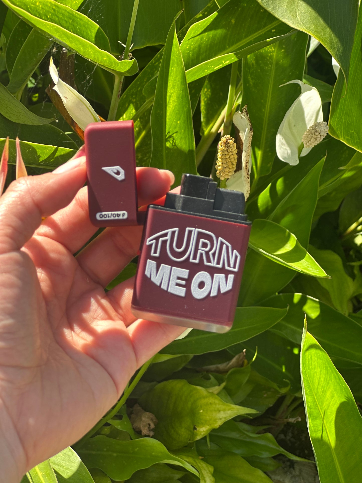 Soplete floppi estampado