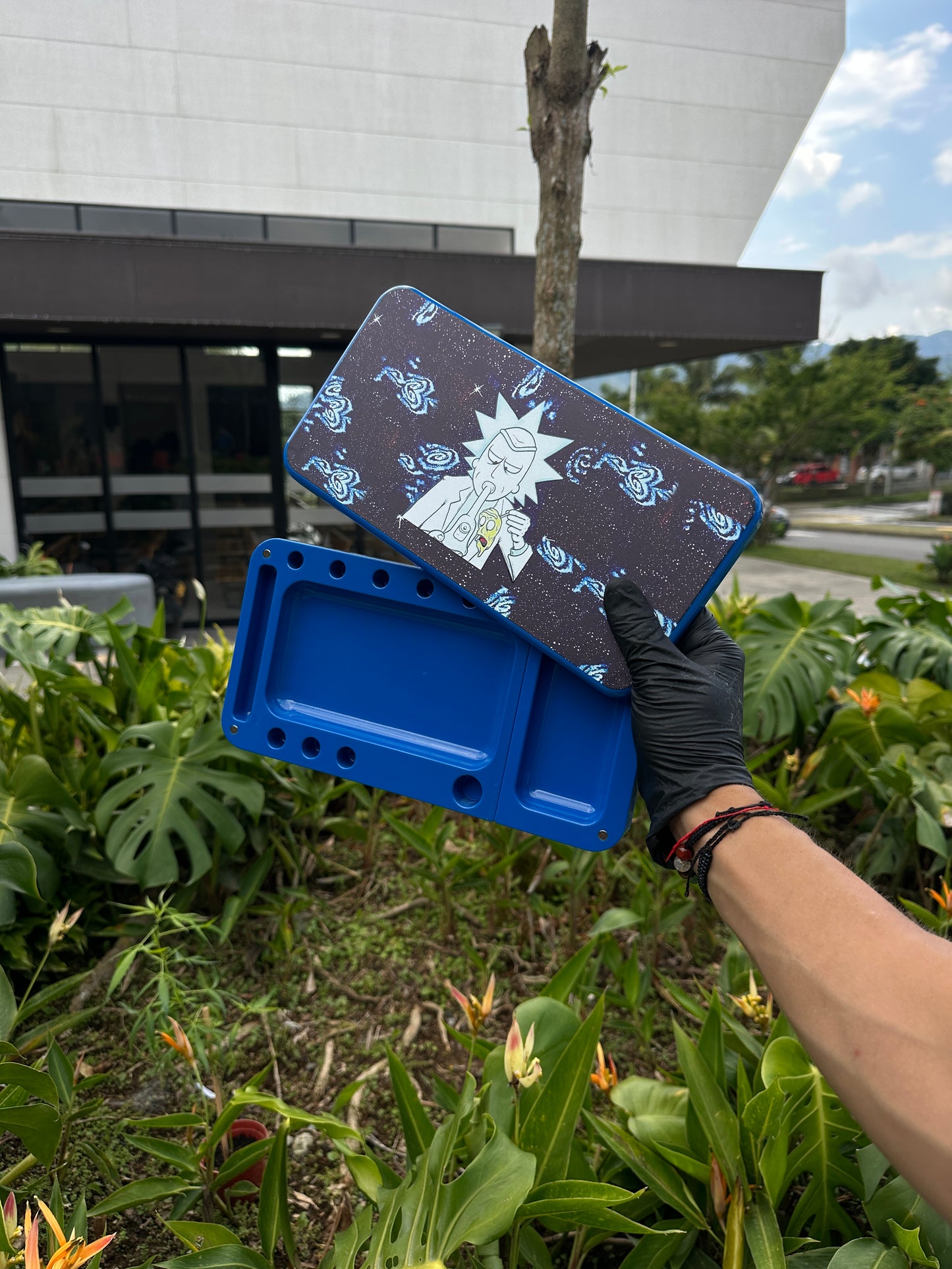 Bandeja con tapa Rick y Morty