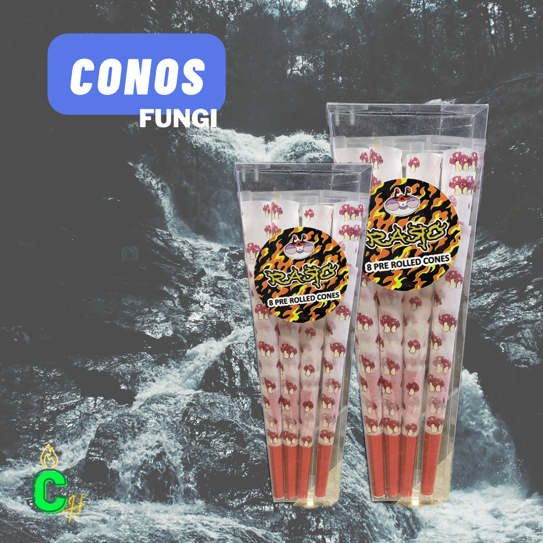 Cono King Size Hongos -unidad-