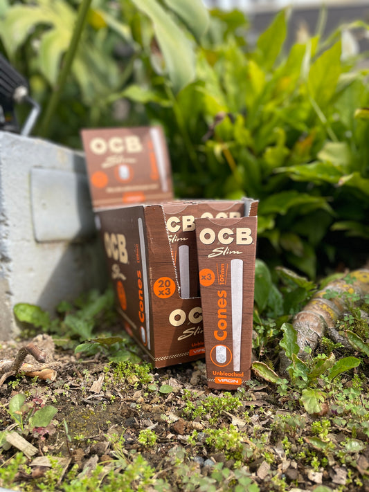 Conos OCB Virgin x3 – Sin blanquear