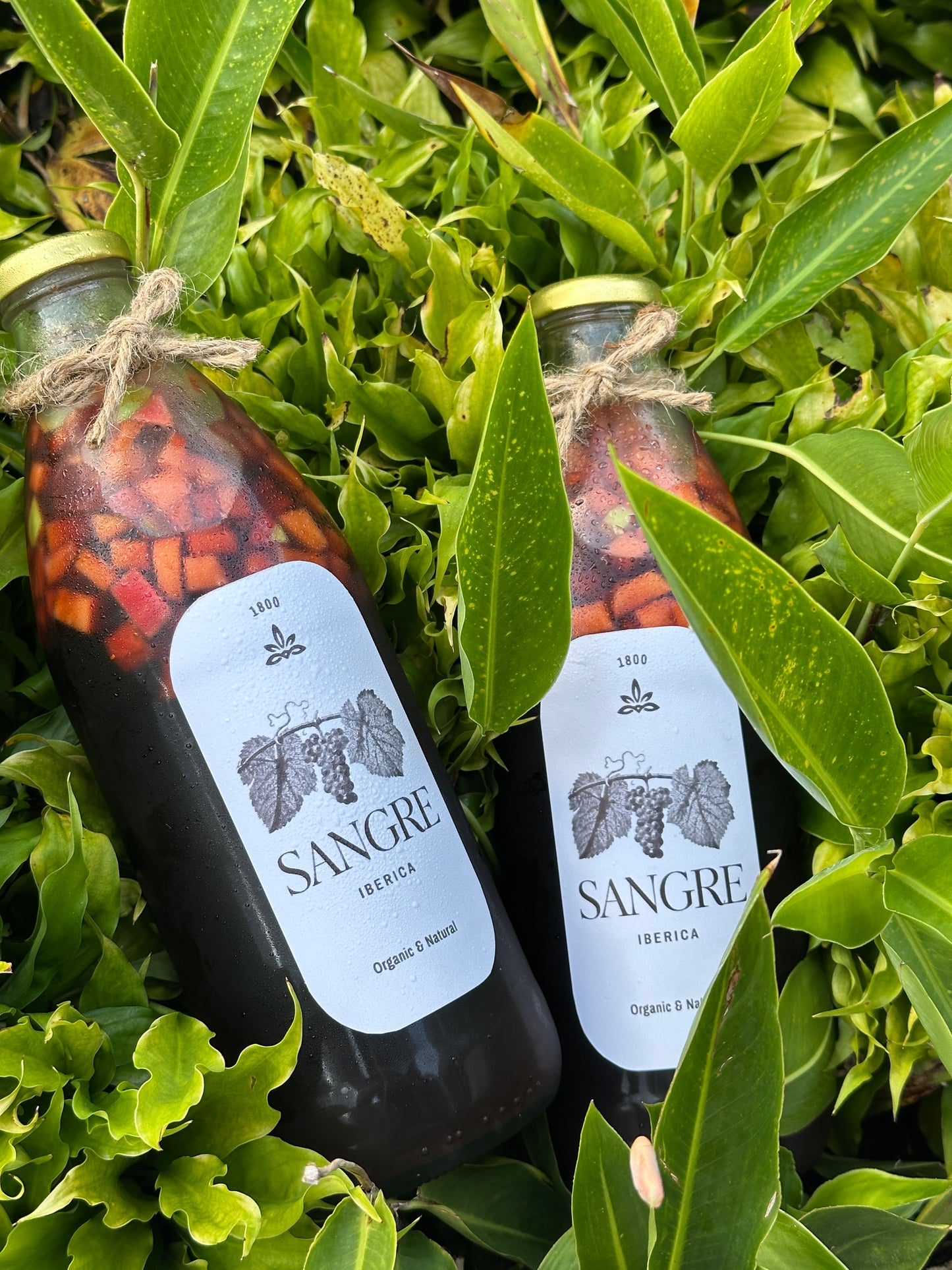 Sangre Ibérica