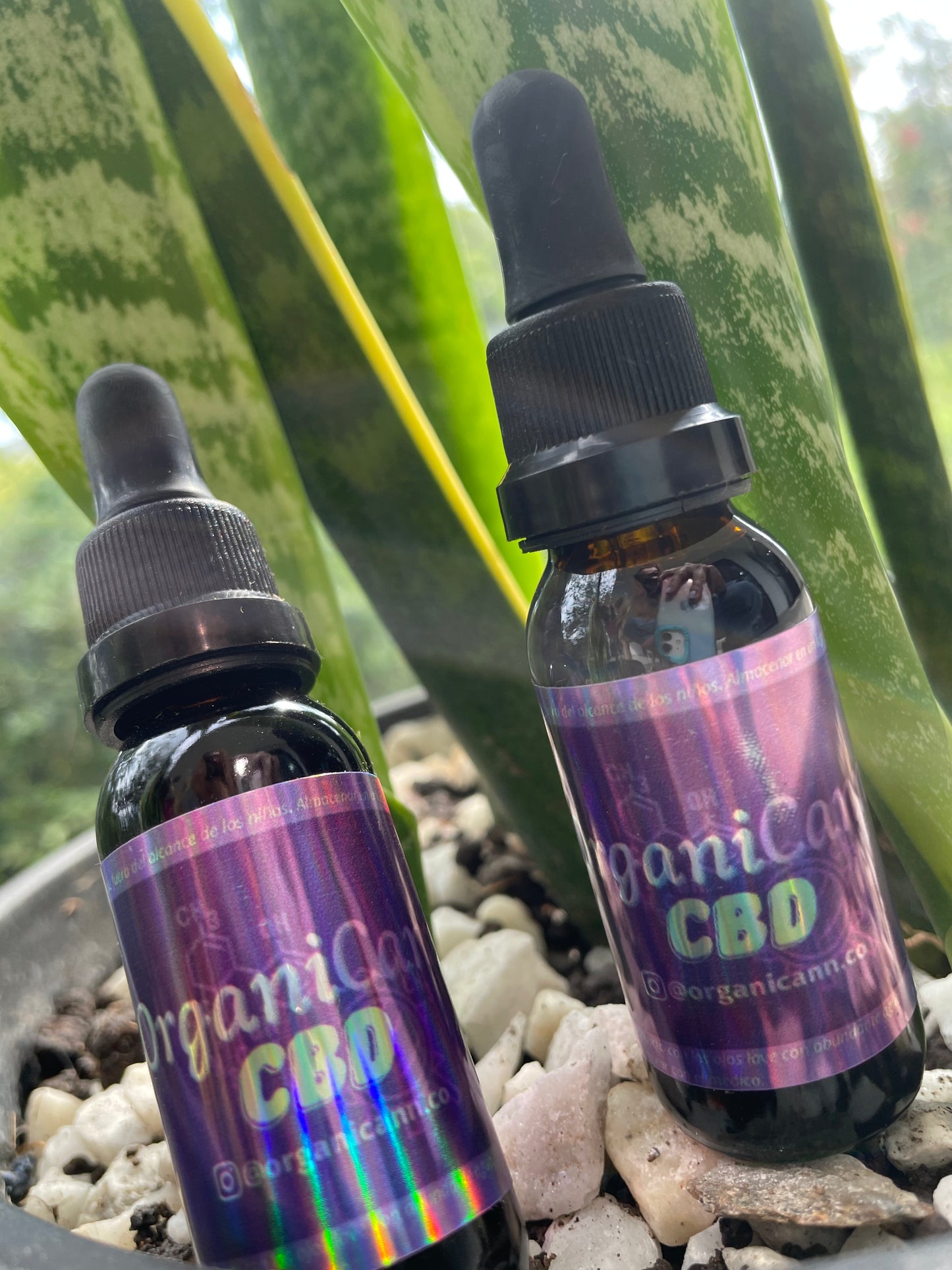 Organicann Aceite CBD para mascotas 800 mg – perros y gatos