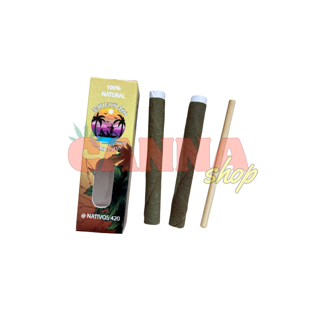 Blunt Nativos Mini caja X2