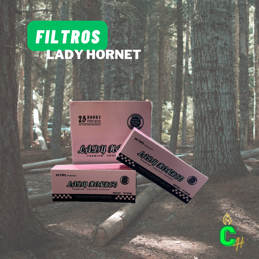 Tips Lady Hornet