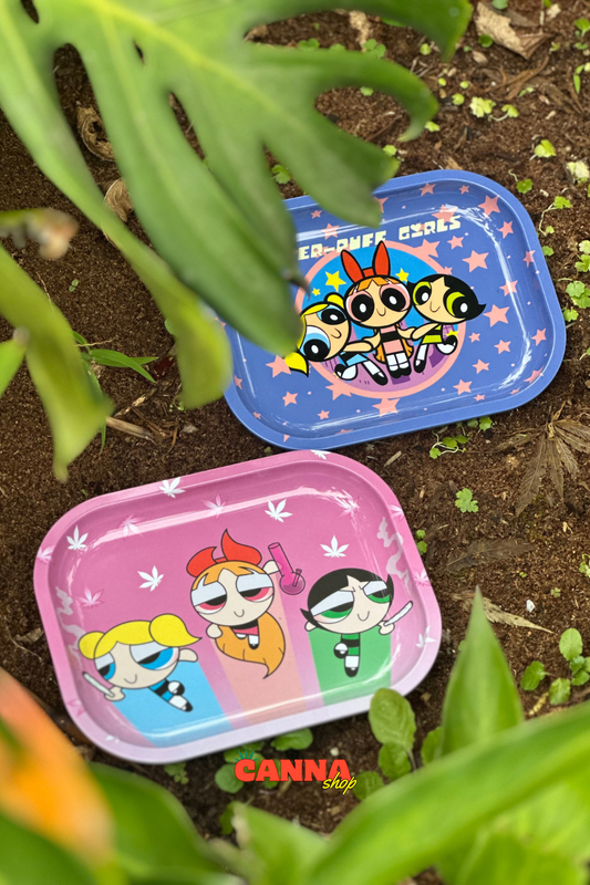 Bandeja pequeña chicas súper poderosas