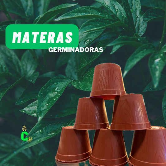 Materos Autocultivo