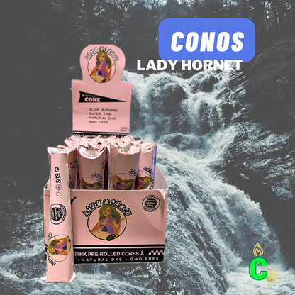 Cono King Lady Hornet