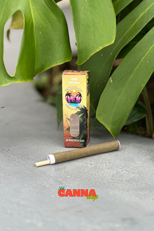 Blunt Nativos Mini caja X2