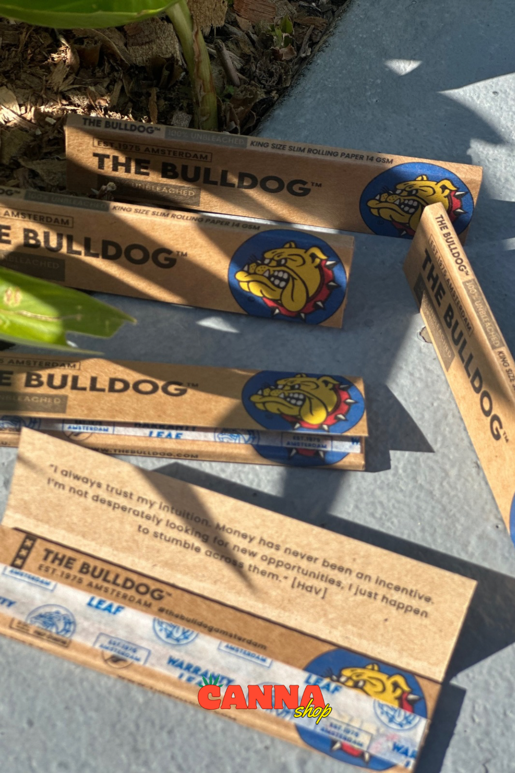 Papeles king size the bulldog