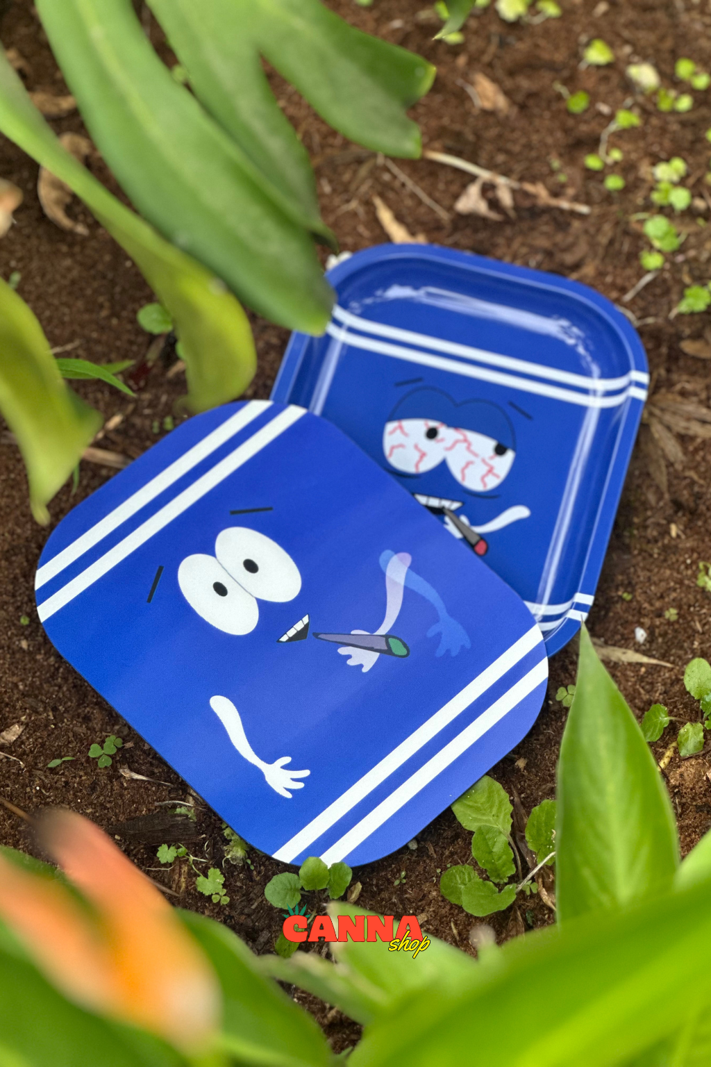 Bandeja Toallín con tapa magnética