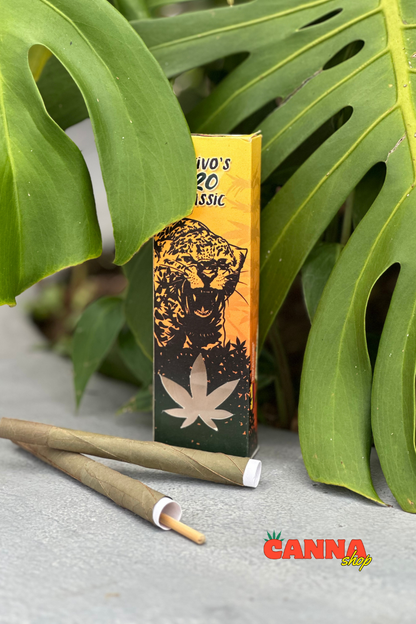 Blunt Nativos Jaguar caja X2