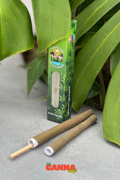 Blunt Nativos Medianos caja X2