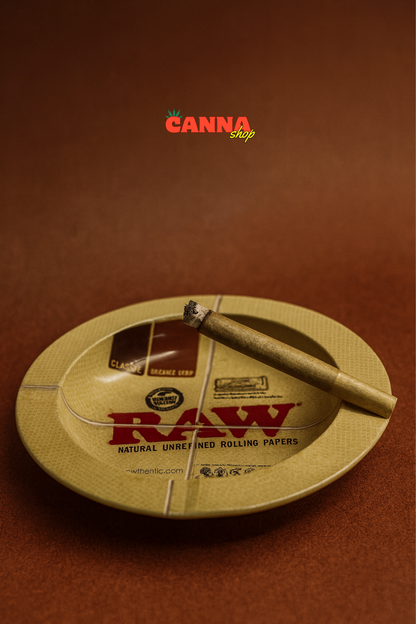 Cenicero RAW – Original y resistente