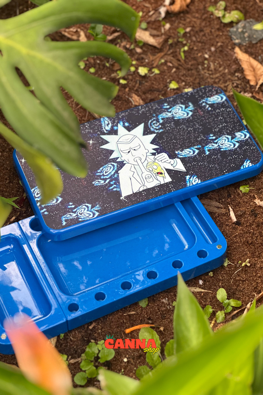 Bandeja con tapa Rick y Morty