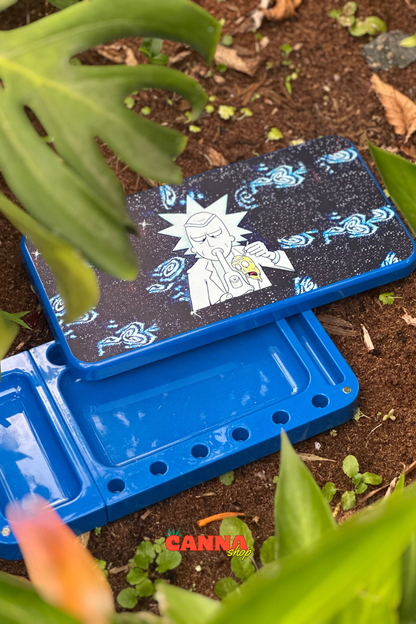 Bandeja con tapa Rick y Morty