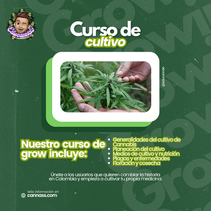 Curso de cultivo de Cannabis