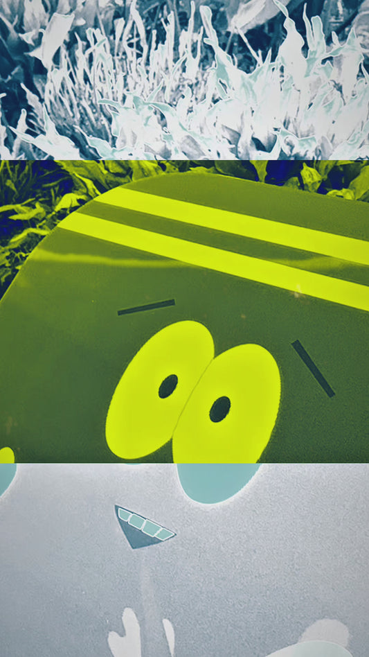 Bandeja Toallín con tapa magnética